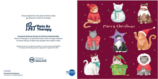 Cats Dressed for Christmas - Pack of 10 Cards