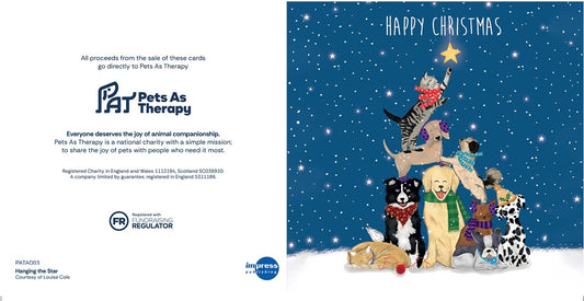 Hanging the Star - Pack of 10 Cards