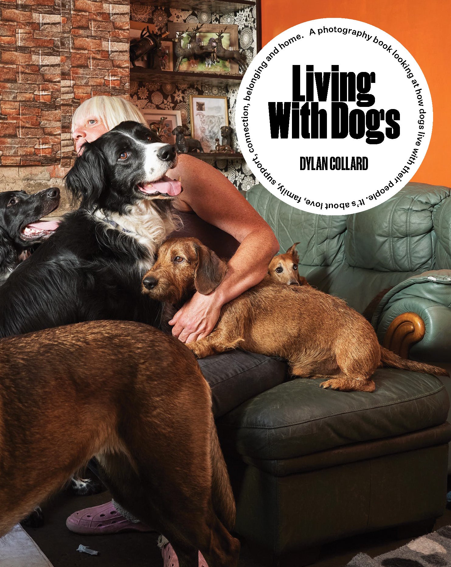 Living with Dogs by Dylan Collard