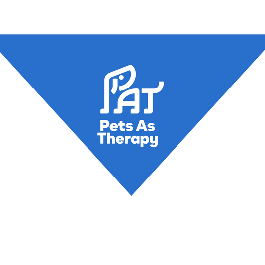 PAT Blue Bandana