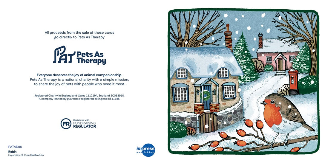 Christmas Robin- Pack of 10 Cards