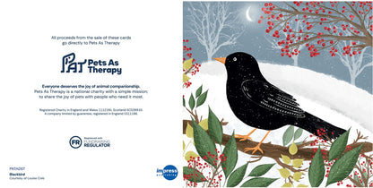 Blackbird at Christmas - Pack of 10 Cards