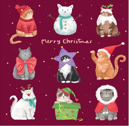Cats Dressed for Christmas - Pack of 10 Cards