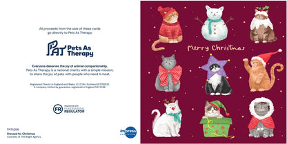 Cats Dressed for Christmas - Pack of 10 Cards