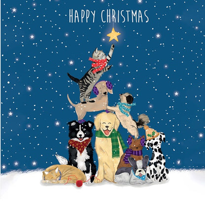 Hanging the Star - Pack of 10 Cards