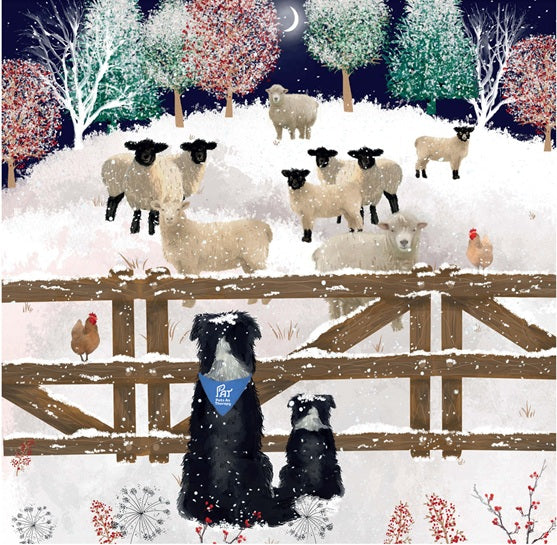 Keeping Watch - Pack of 10 Christmas Cards