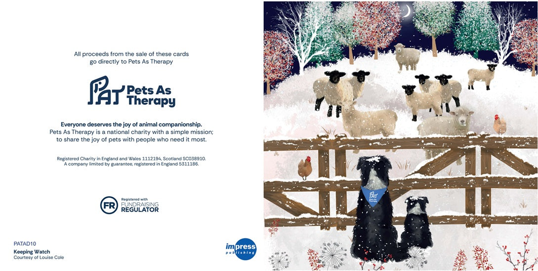 Keeping Watch - Pack of 10 Christmas Cards