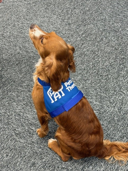 PAT Pet ID Jacket