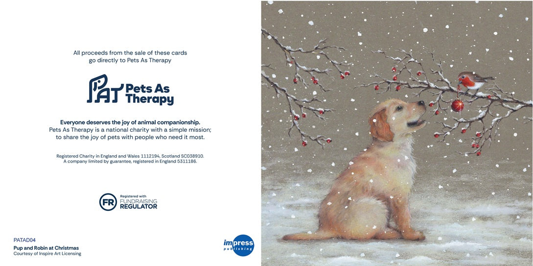 Pup and Robins at Christmas - Pack of 10 Cards