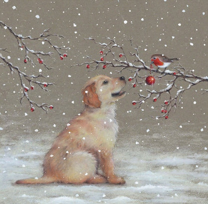 Pup and Robins at Christmas - Pack of 10 Cards