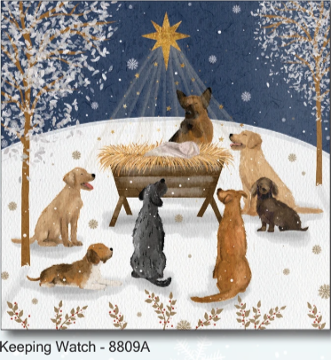 Around the Manger -Pack of 10 cards